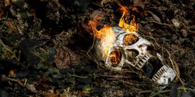 İnsan kafatasının önünde, ağacın kökleriyle birlikte toprağa gömülmüş bir şekilde. Kafatasının kafatasına çamur bulaşmış. Ölüm ve Cadılar Bayramı kavramı.