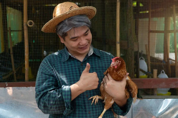 Asian farmers are holding hens. At a chicken farm in their own home area With a happy gesture