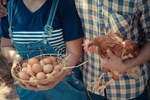 Couple farmer holding fresh chicken eggs into basket and holding  hen beside chicken farm. Concept of Non-toxic food