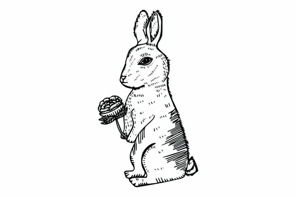 Mão Desenhado Esboçado Easter Rabbit Vetor Ilustração — Vetor de Stock