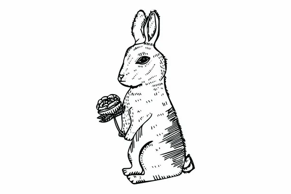 Hand Gezeichneter Skizzierter Osterhase Illustrationsvektor — Stockvektor