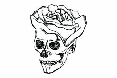 çizimli gül Çiçek kafatası vektör illüstrasyon