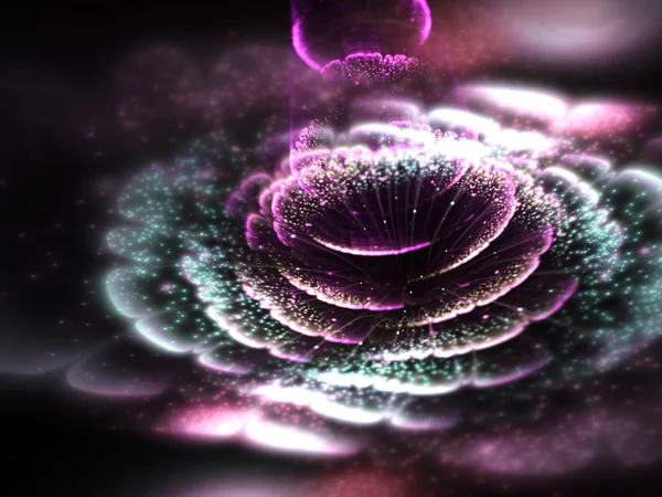 Dark Pink Soft Fractal Flower Digital Artwork Creative Graphic Design — Stock Photo, Image