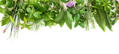 Various kinds of fresh garden herbs isolated on white background clipart
