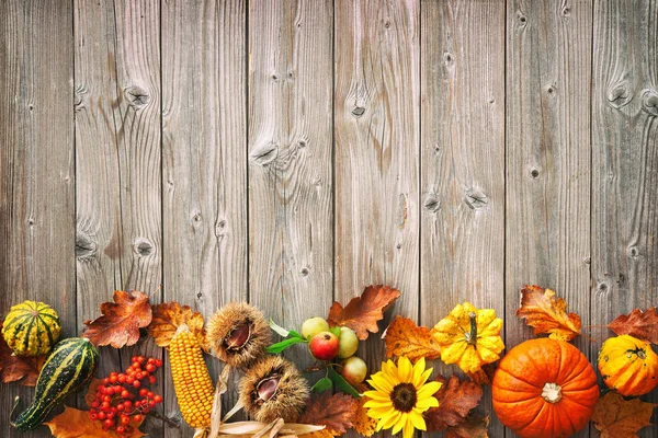 Сбор Урожая День Благодарения Осенними Листьями Фруктами Тыквами Деревенском Деревянном — стоковое фото