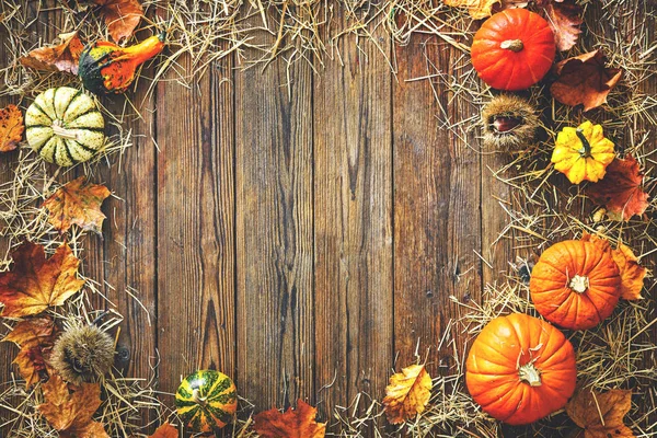 Oogst Thanksgiving Achtergrond Met Kalebassen Stro Een Rustieke Houten Tafel — Stockfoto