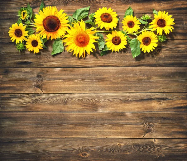 Fondo Otoño Con Girasoles Sobre Tabla Madera —  Fotos de Stock