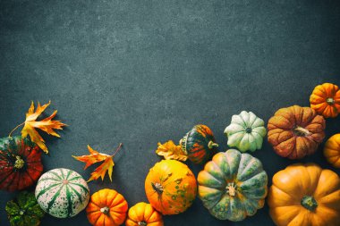 Şükran günü arka plan çeşitli pumpkins, su kabakları ve rustik koyu masada düşen yaprakları ile
