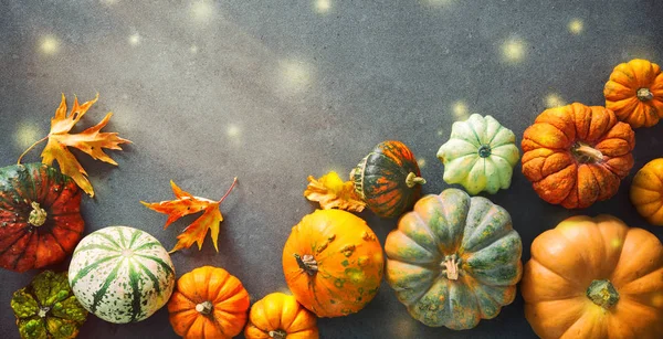 Fondo Acción Gracias Con Varias Calabazas Calabazas Hojas Que Caen —  Fotos de Stock