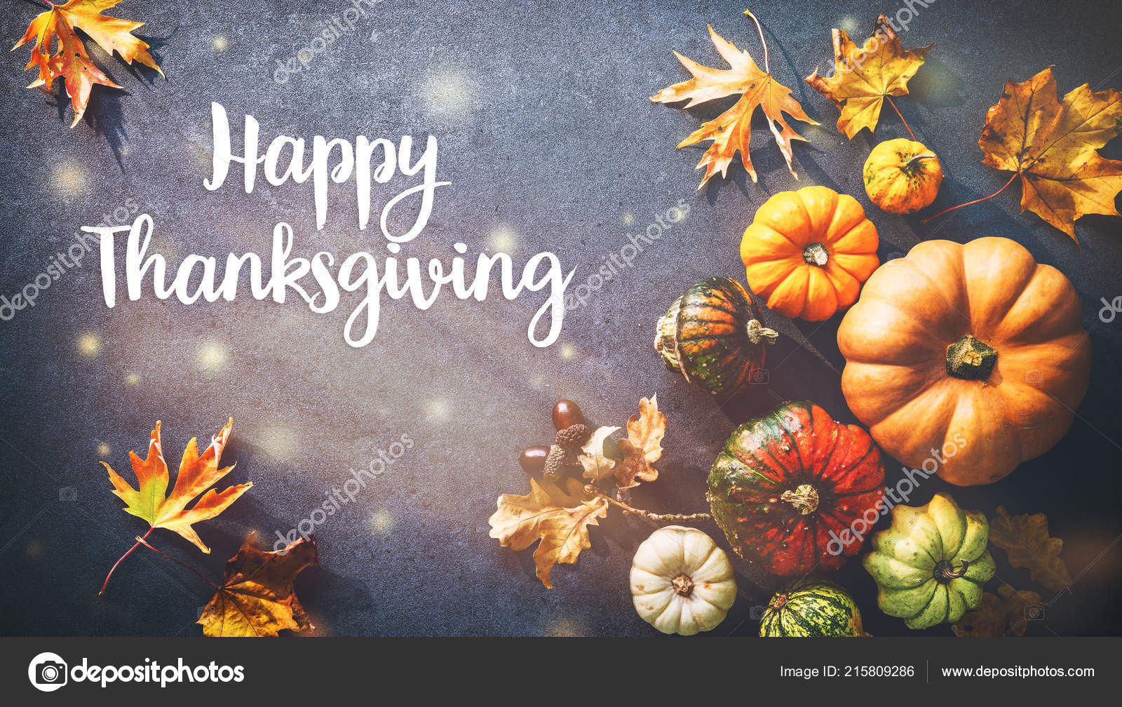 Feliz Día Acción Gracias Fondo Otoño Con Varias Calabazas Calabazas — Foto  de stock #215809286 © alexraths, image size:1600x1008