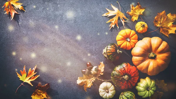 Thanksgiving Achtergrond Met Verschillende Pompoenen Kalebassen Vallende Bladeren Rustieke Donkere — Stockfoto