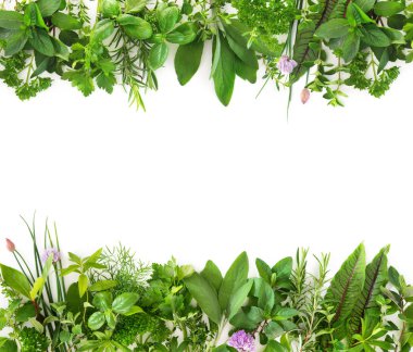Various kinds of fresh garden herbs isolated on white background clipart