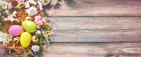 Osterhintergrund Oder Grußkarte Mit Ostereiern Nest Und Rosa Frühlingsblüten — Stockfoto