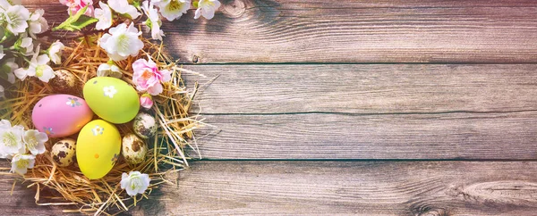 Påsk Bakgrund Eller Gratulationskort Med Påskägg Boet Och Rosa Våren — Stockfoto