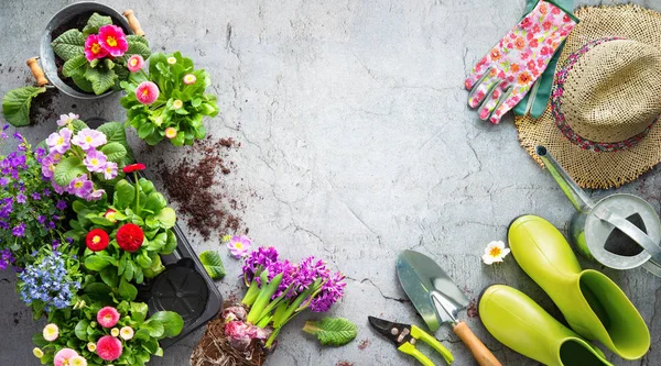 Gartengeräte und Frühlingsblumen auf der Terrasse — Stockfoto