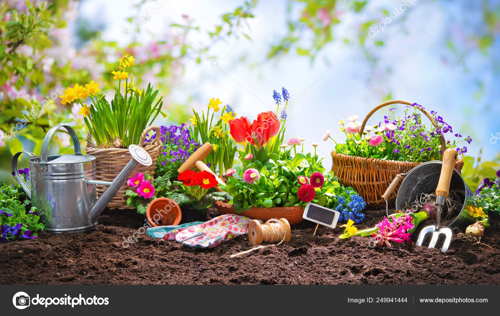 Planting spring flowers in the garden — Stock Photo © alexraths 249941444