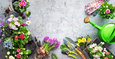 Bahçecilik aletleri ve terasta bahar çiçekleri