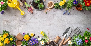 Bahçecilik aletleri ve terasta bahar çiçekleri
