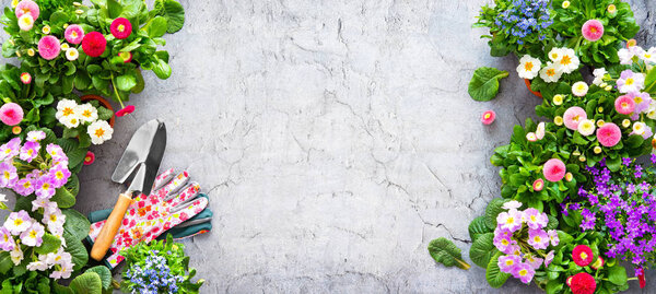 Gardening tools and spring flowers on the terrace