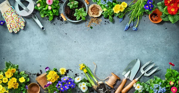 Herramientas de jardinería y flores de primavera en la terraza —  Fotos de Stock