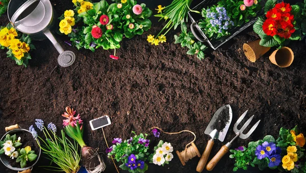 Gardening tools and flowers on soil — Stock Photo, Image