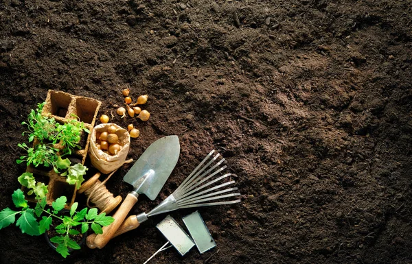 Attrezzi da giardinaggio e piantine sul suolo — Foto Stock