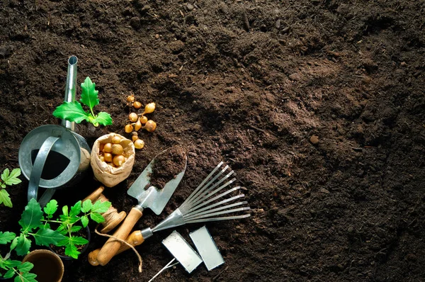 Attrezzi da giardinaggio e piantine sul suolo — Foto Stock