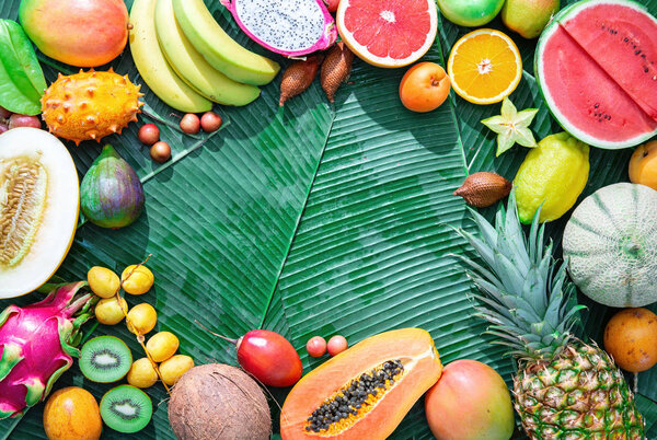 Assortment of tropical fruits on leaves of palm trees