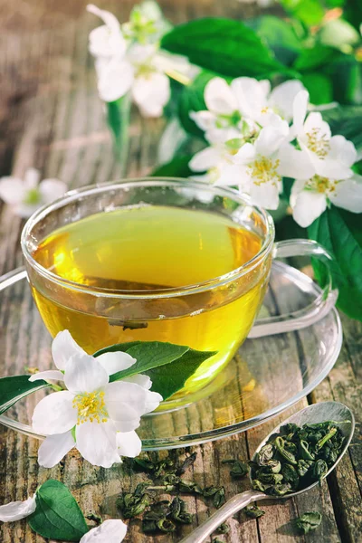 Cup of green tea with jasmine — Stock Photo, Image