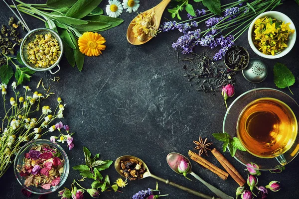 Sağlıklı bitki çayı Fincan — Stok fotoğraf