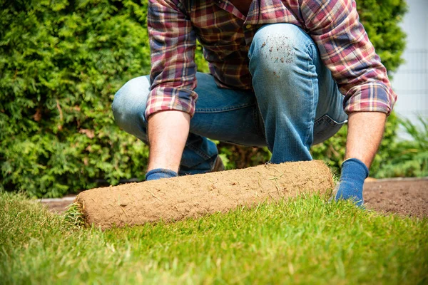 Bahçeye çim rulo montajı