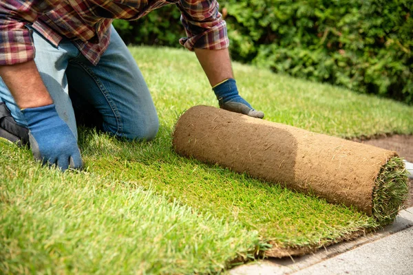 Installation de rouleaux de gazon dans le jardin — Photo