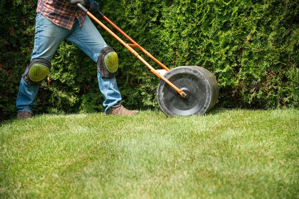 Installing turf rolls in the garden — Stock Photo, Image