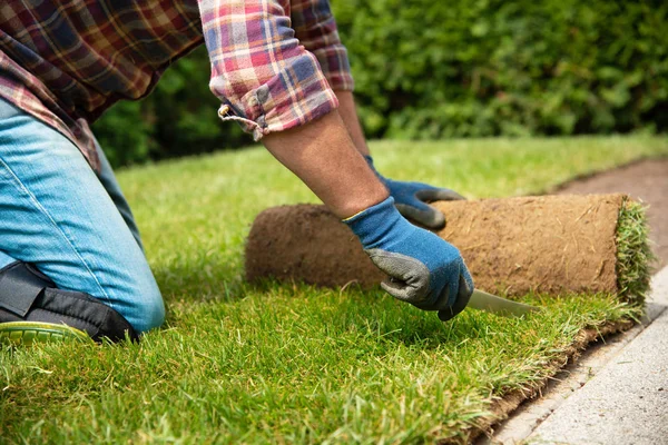 Installing turf rolls in the garden Royalty Free Stock Images