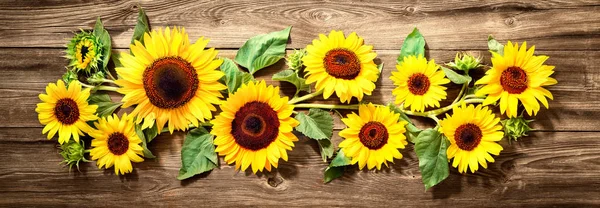 Girasoli su tavola di legno — Foto Stock