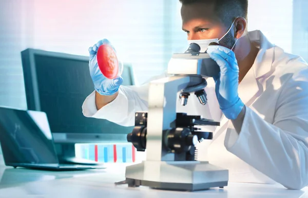 Técnico Científico Mirando Una Placa Petri Mientras Trabaja Laboratorio — Foto de Stock