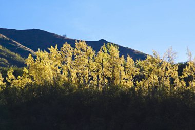  Alaska doğa, dağların sonbahar