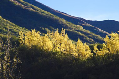  Alaska doğa, dağların sonbahar