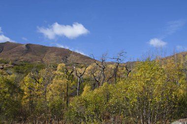  Alaska doğa, dağların sonbahar