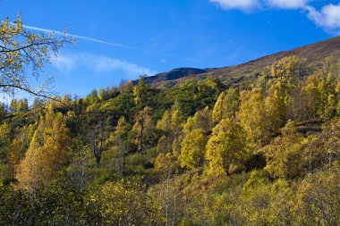  Alaska doğa, dağların sonbahar