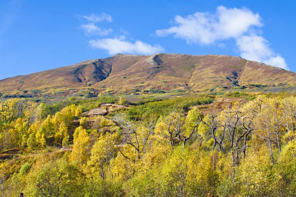 阿拉斯加自然 秋天在山 — 图库照片