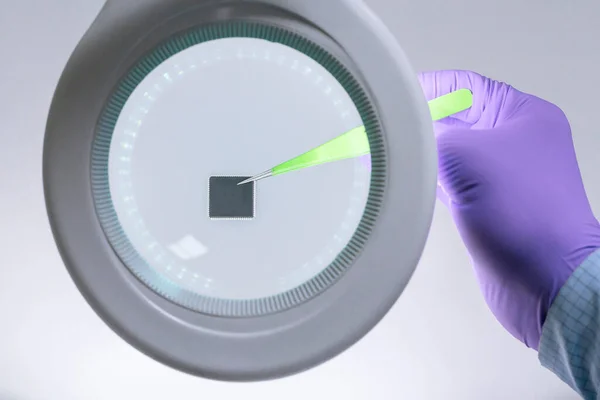 在放大镜下 手握紫色手套 装有一对镊子的微晶片 专注于晶片 — 图库照片