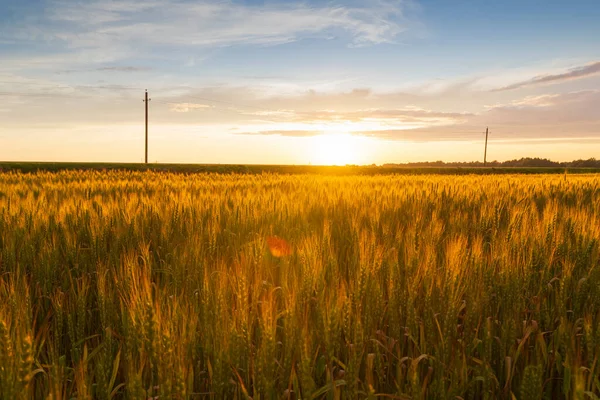 A nuvem enorme iluminou raios amarelo-alaranjados do por do sol. — Fotografia de Stock