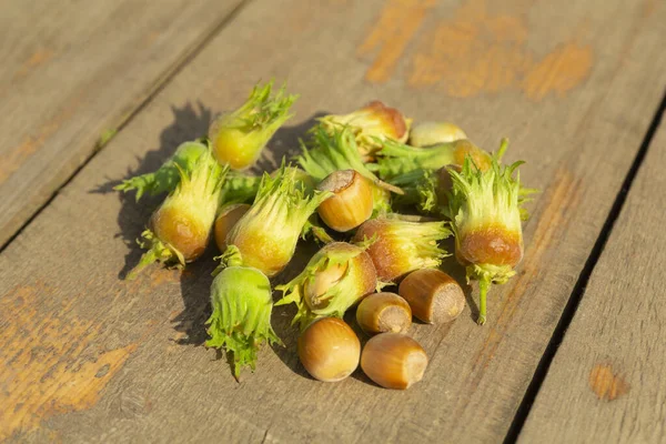 Πράσινα φουντούκια στο ξύλινο τραπέζι, φθινοπωρινή συγκομιδή ξηρών καρπών — Φωτογραφία Αρχείου