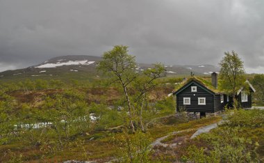 Norveç'in güzel İskandinav manzara geleneksel ahşap ev