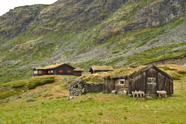 Norveç'in güzel İskandinav manzara geleneksel ahşap ev
