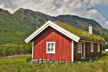 Norveç'in güzel İskandinav manzara geleneksel ahşap ev