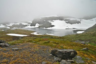 Yaz aylarında Norveç'in doğal yeşil manzara