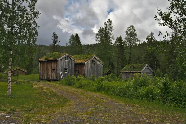 Tradisjonelt Trehus Vakkert Skandinavisk Landskap Norge – stockfoto