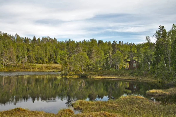 Paisaje Verde Escénico Noruega Durante Verano —  Fotos de Stock